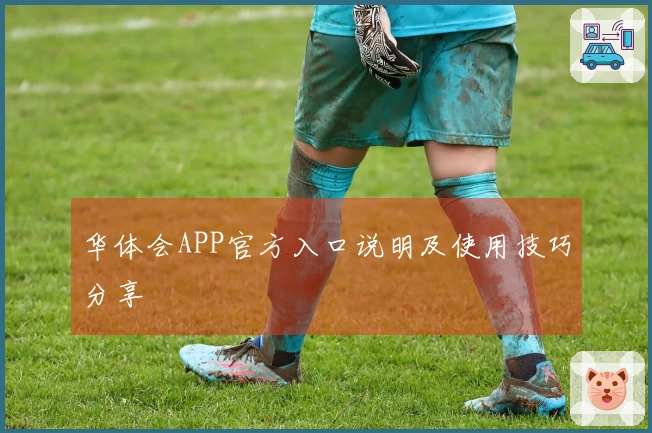 华体会APP官方入口说明及使用技巧分享