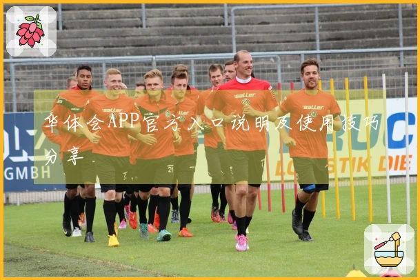 华体会APP官方入口说明及使用技巧分享